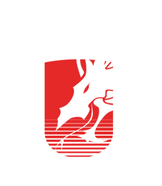 Team Alves Gym